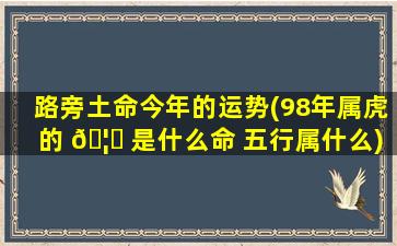 路旁土命今年的运势(98年属虎的 🦅 是什么命 五行属什么)